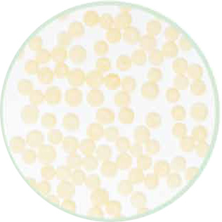 1648273683.jpg 15 - 副本.jpg