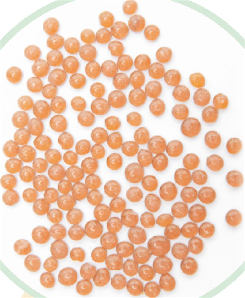 1648274055.jpg 16也沒(méi)有 - 副本 - 副本.jpg