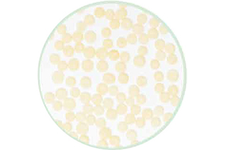 橡膠功能性樹(shù)脂系列-由無(wú)定形結構天然樹(shù)脂和脂環(huán)樹(shù)脂的聚合物-浙江和利昌新材料有限公司